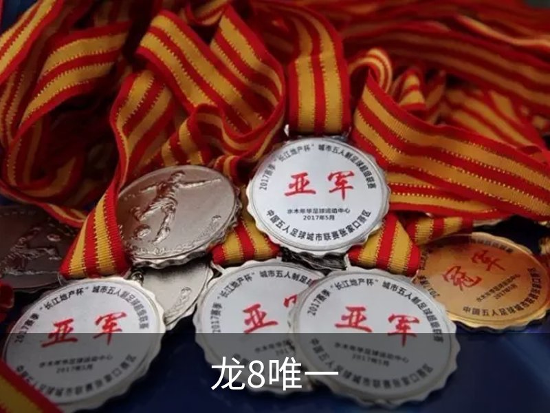 龙8唯一简介